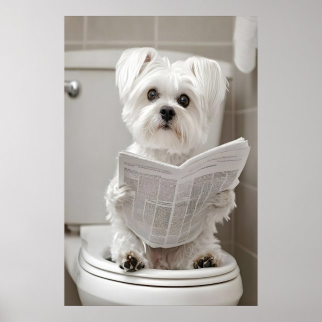 Poster Funny Maltese Dog Bathroom Print, Newspaper Art (Frente)