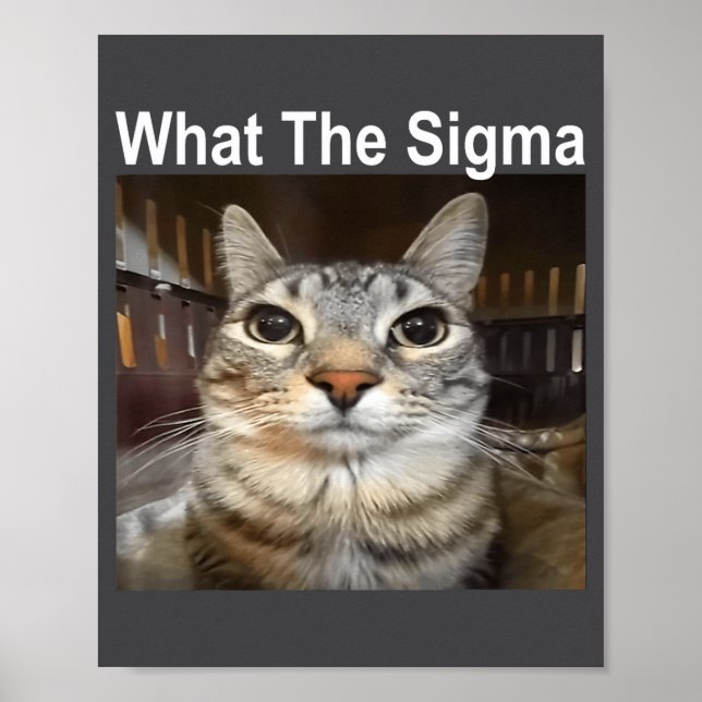 Poster Funny Meme Cat What The Sigma Cute Cat Meme Quote  (Frente)