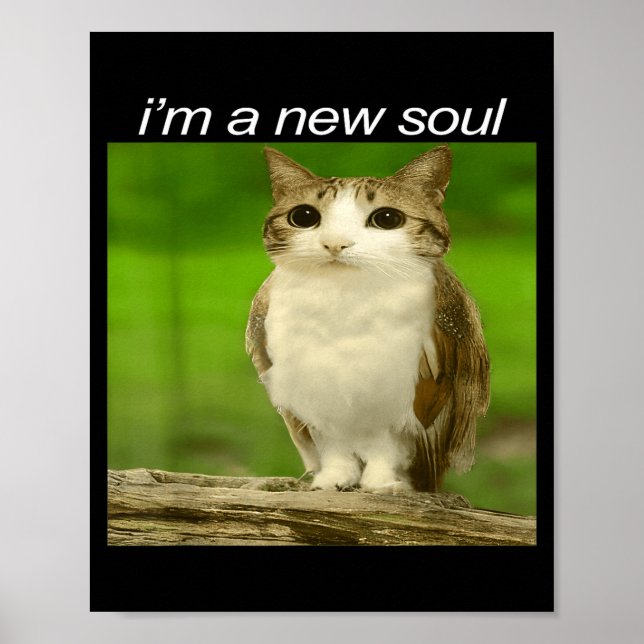 Poster Funny Meowl Cat Owl Brainrot Cursed Internet Silly (Frente)