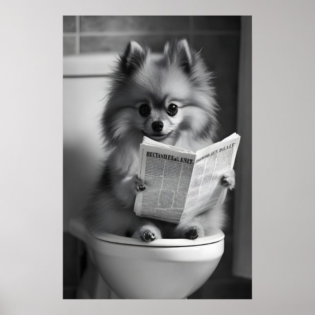 Poster Funny Pomeranian Bathroom Print, Newspaper Reading (Frente)