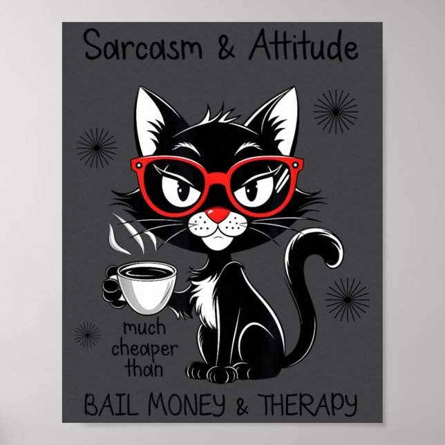 Poster Funny Sarcastic Rude Sayings Sarcasm And Attitude  (Frente)