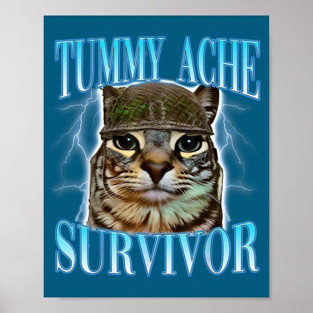 Poster Funny Saying Cats Tummy Ache Survivor Cat Meme Hum (Frente)