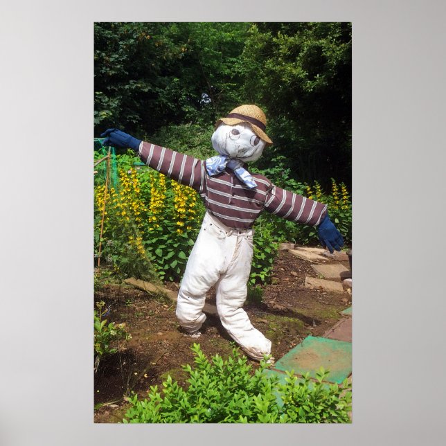 Pôster Funny scarecrow (Frente)