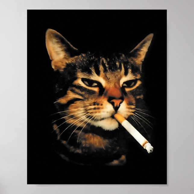Poster Funny Smoking Cat Cigarette Kitten Meme Stupid Bra (Frente)