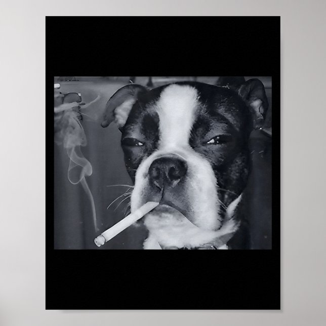 Poster Funny Smoking Dog Meme Cigarette Gen Z Meme Dog Lo (Frente)