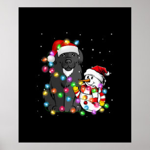 Poster Funny Terra Nova Cachorro Natal Tee Snowman Light