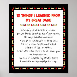 Poster Funny Things I Learned From My Great Dane