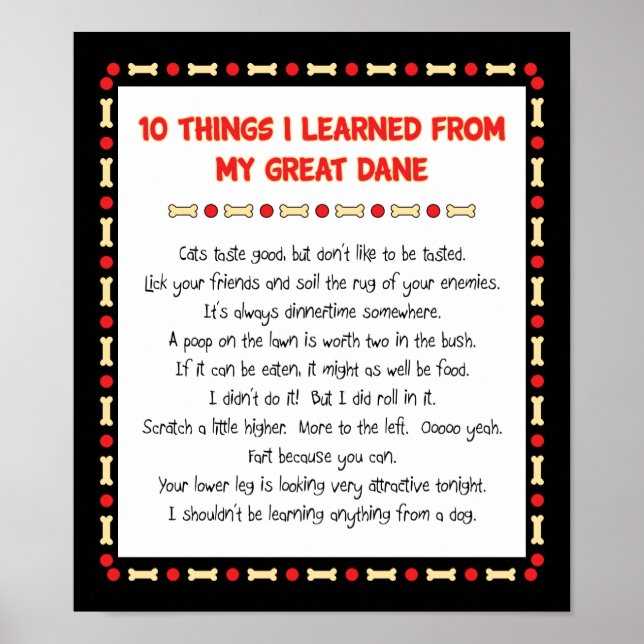 Poster Funny Things I Learned From My Great Dane (Frente)
