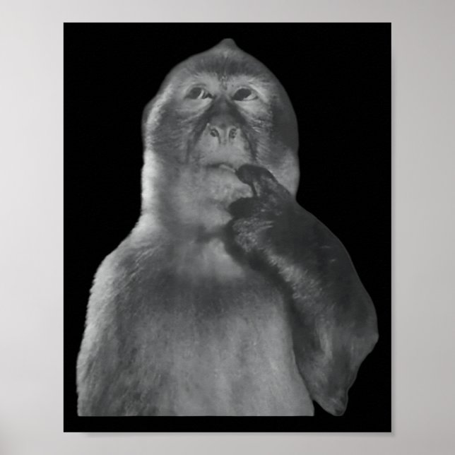 Poster Funny Thinking Monkey Meme Curious Ape Brainrot  (Frente)
