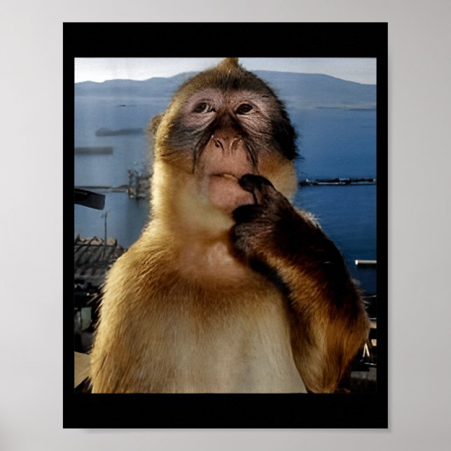 Poster Funny Thinking Monkey Meme Curious Ape Brainrot Gi (Frente)