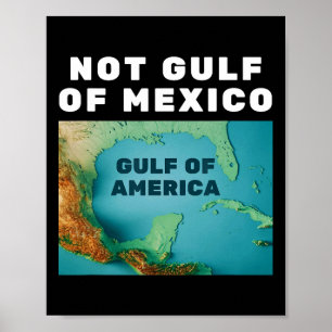 Poster Funny Trump America's Golfo Not Golfo of Mexico 1