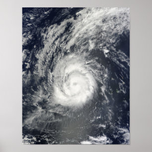 Poster Furacão Julia