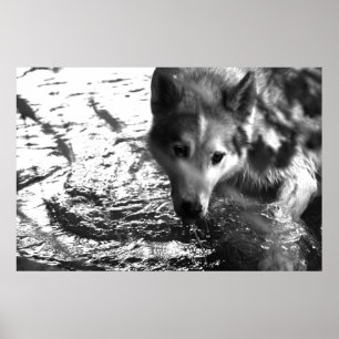 Poster Furo de água