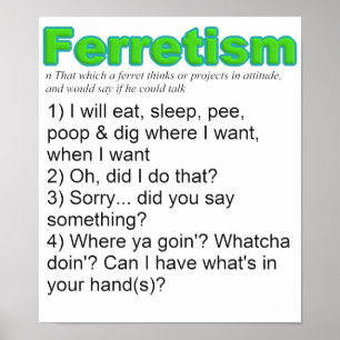 Poster Furões Engraçados