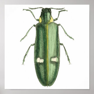 Pôster Fusca Metálica