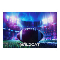 FUTEBOL AMERICANO - WILDCAT