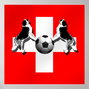 Poster Futebol da suiça - campeonato do mundo 2014 de