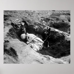 Poster Fuzileiro naval e seu cão