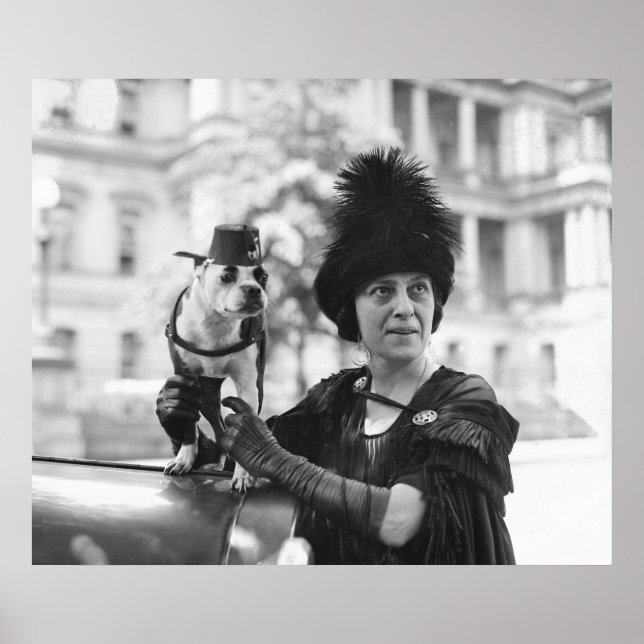 Poster Fuzz e Fez: 1923 (Frente)