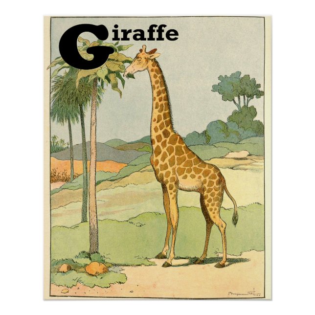 Pôster G é para Giraffe Alphabet Animais Perfeitos (Frente)