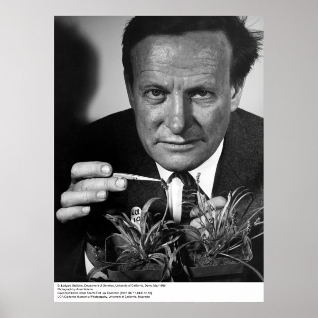 Pôster G. Ledyard Stebbins, UC Davis, 1966 (Frente)