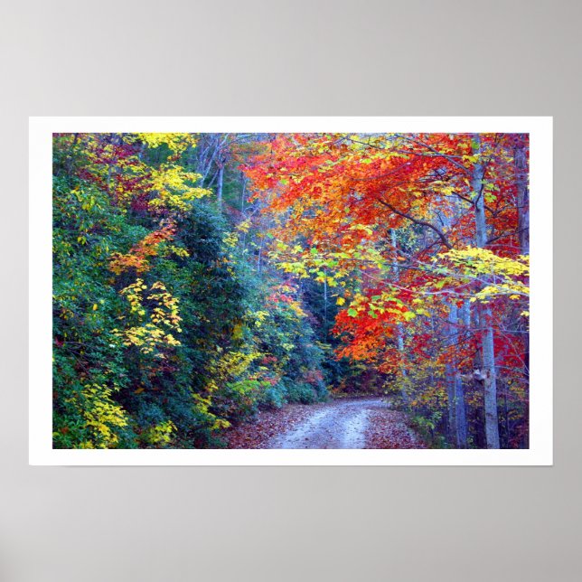 Poster Ga fall (Frente)