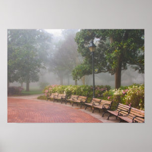 Poster GA Savannah, Azaleas ao longo da calçada e