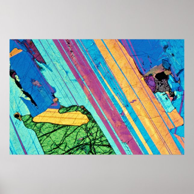 Pôster Gabbro (Frente)