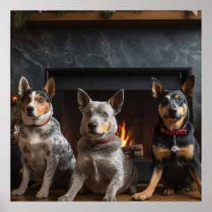 Poster Gado australiano no Natal da Lareira