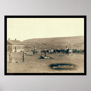 Pôster Gado de marcagem com ferro quente SD 1891