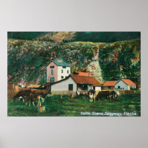 Pôster Gado entre celeiros SceneSkagway, AK