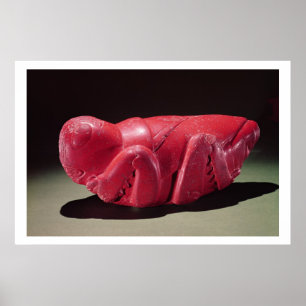 Pôster Gafanhoto de Chapultepec, México, c.1500 (carn