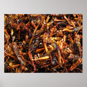 Pôster Gafanhoto Frito (Takkataen Thot) Comida Asiática
