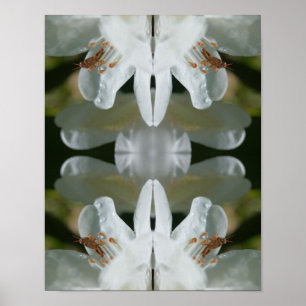 Poster Gafanhoto Pequeno Em Abstrato De Flor Azalea Branc
