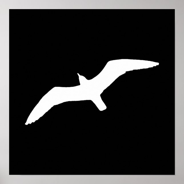 Poster Gaivota branca (Frente)