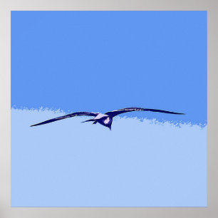 Pôster Gaivota de mar em vôo