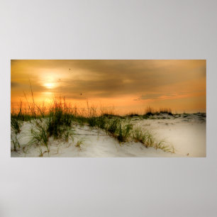 Poster Gaivotas ao amanhecer