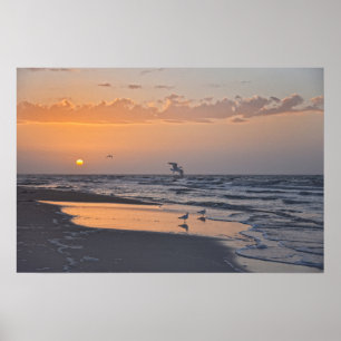 Poster Gaivotas ao Nascer do Sol numa Praia da Flórida