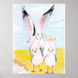 Poster Gaivotas atrevidas