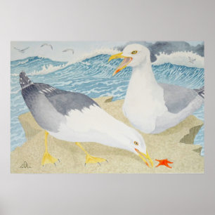 Poster Gaivotas que descansam em um penhasco