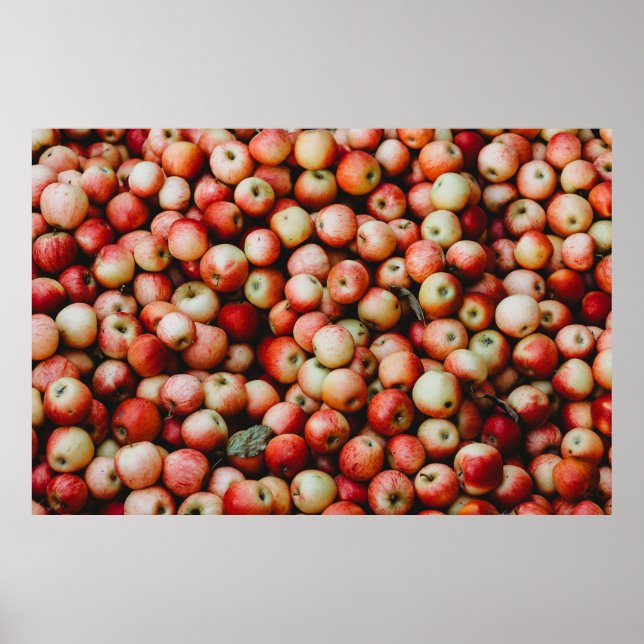 POSTER GALA APPLES (Frente)