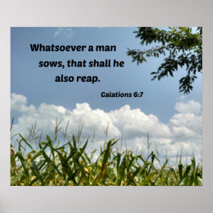 Poster Galações 6:7 Quem quer que seja um homem...