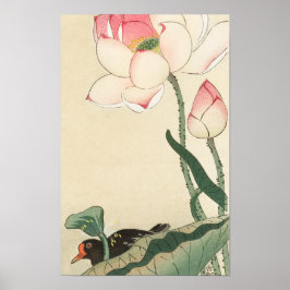 Poster Galálula com Flores de Lotus por Ohara Koson
