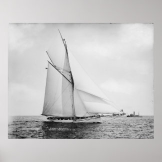 Pôster Galatea