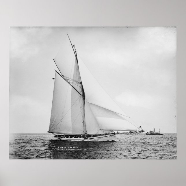 Pôster Galatea (Frente)
