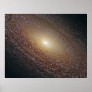 Pôster Galáxia espiral de NGC 2841