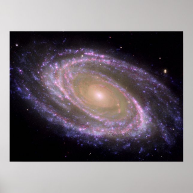 Poster Galáxia Espiral do Messier 81 (Frente)