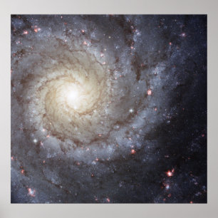 Pôster Galáxia Espiral M74