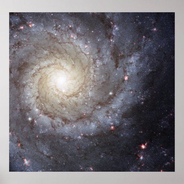 Pôster Galáxia Espiral M74 (Frente)