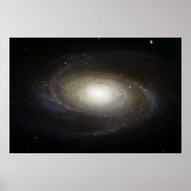 Poster Galáxia Espiral M81 (Frente)